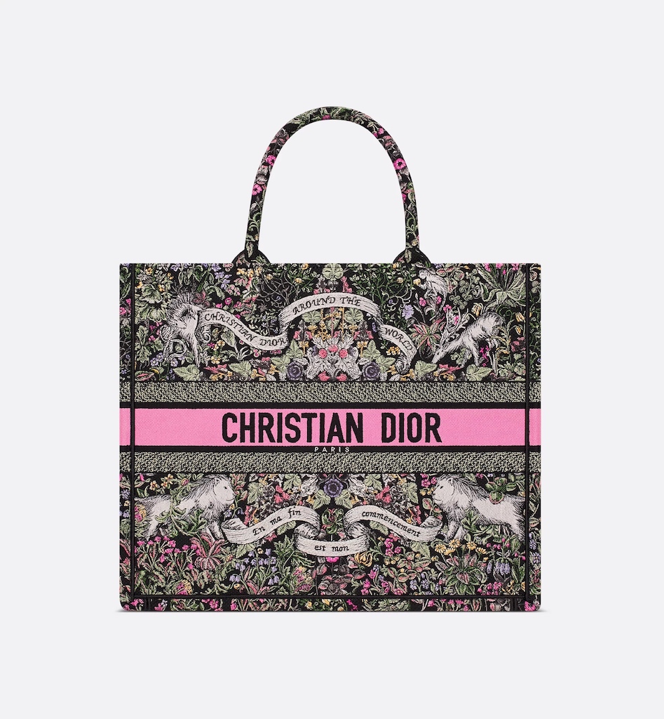 Dior Book Tote