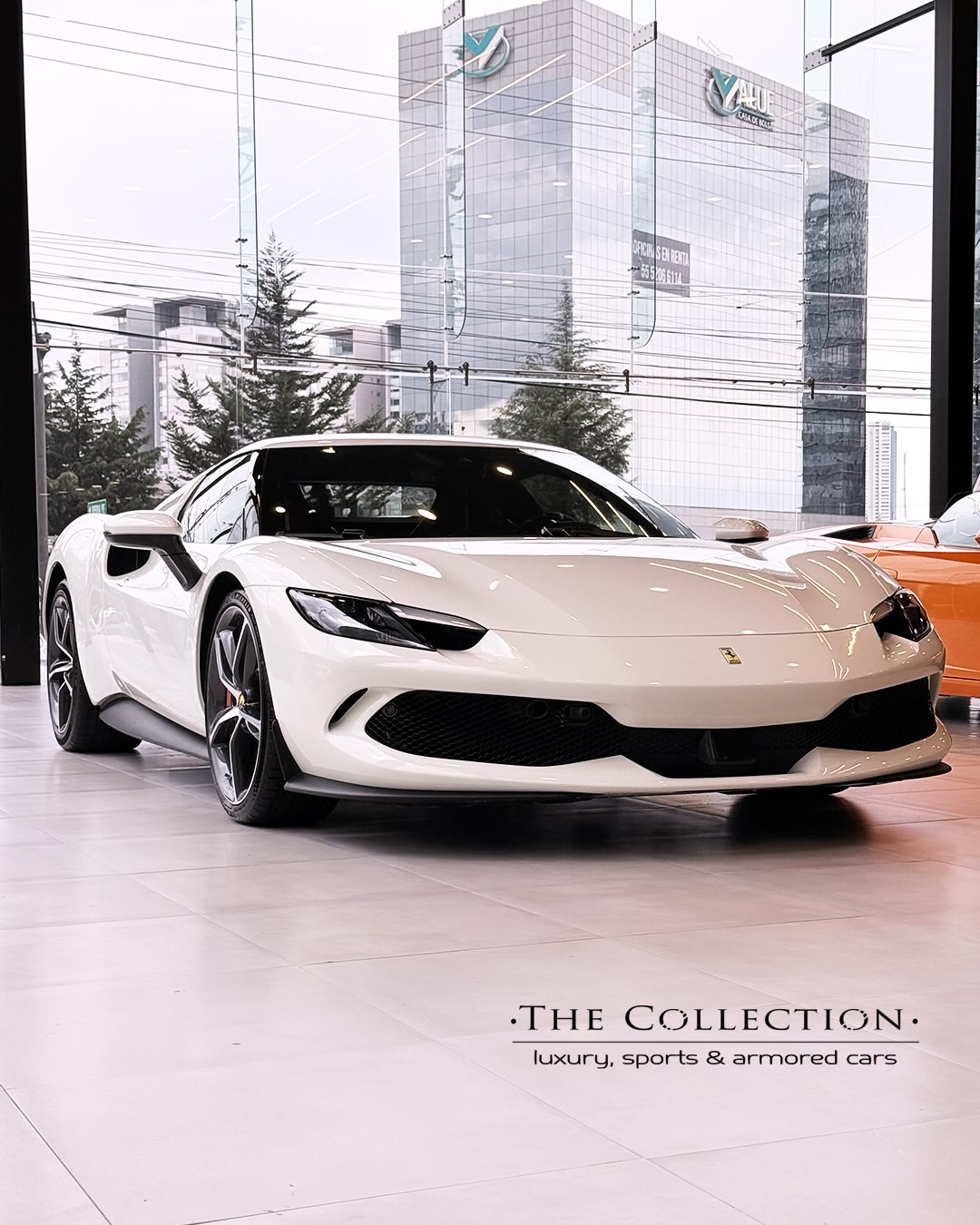 The Collection