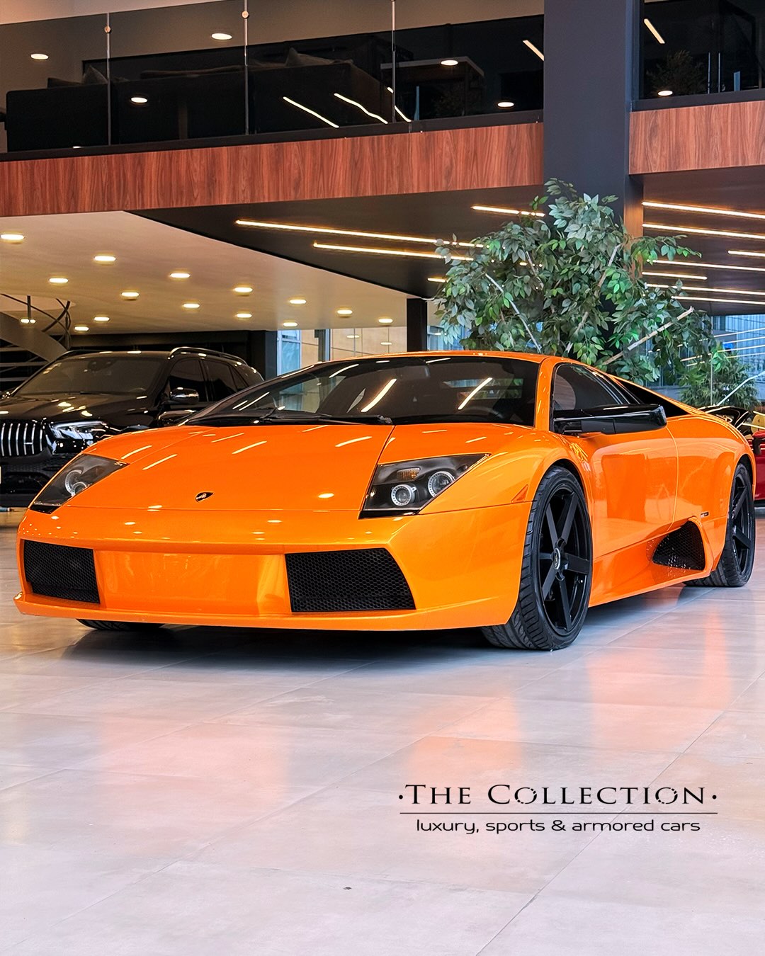 The Collection