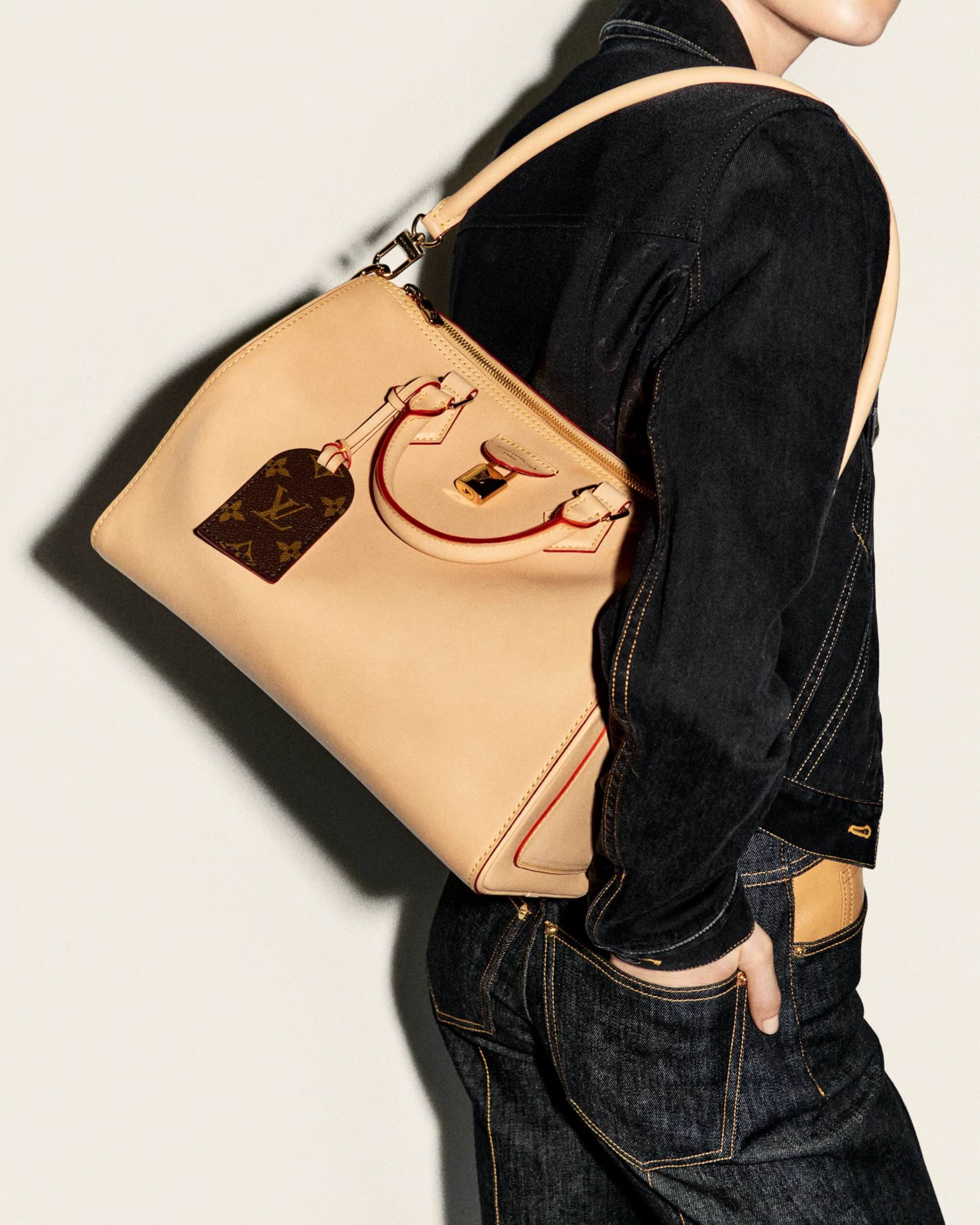 Le Speedy Louis Vuitton