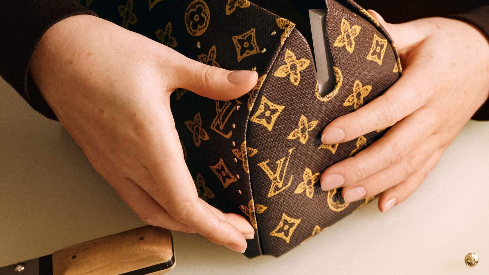 Le Speedy Louis Vuitton