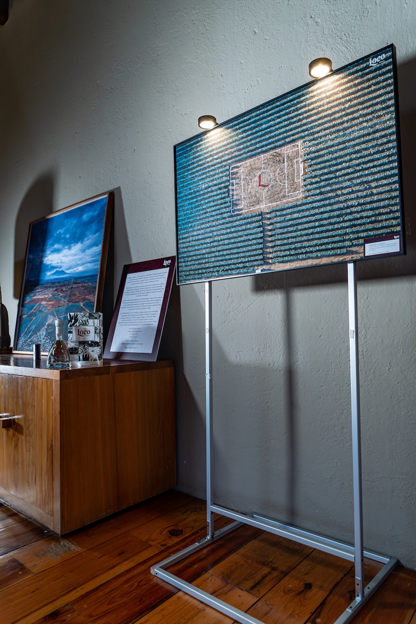 exposición