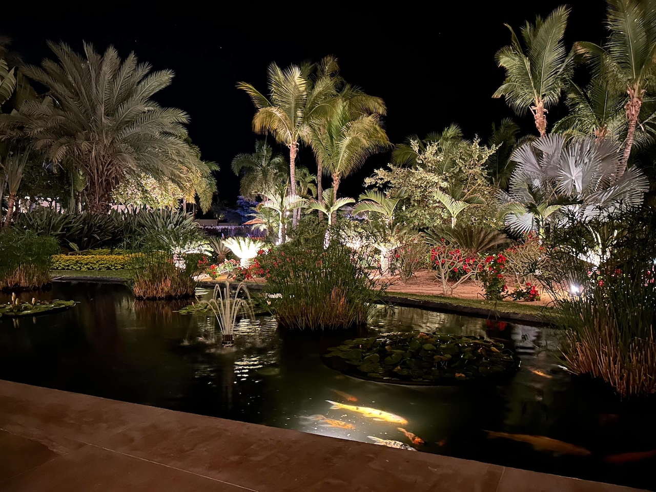 Ruta Michelin por Los Cabos