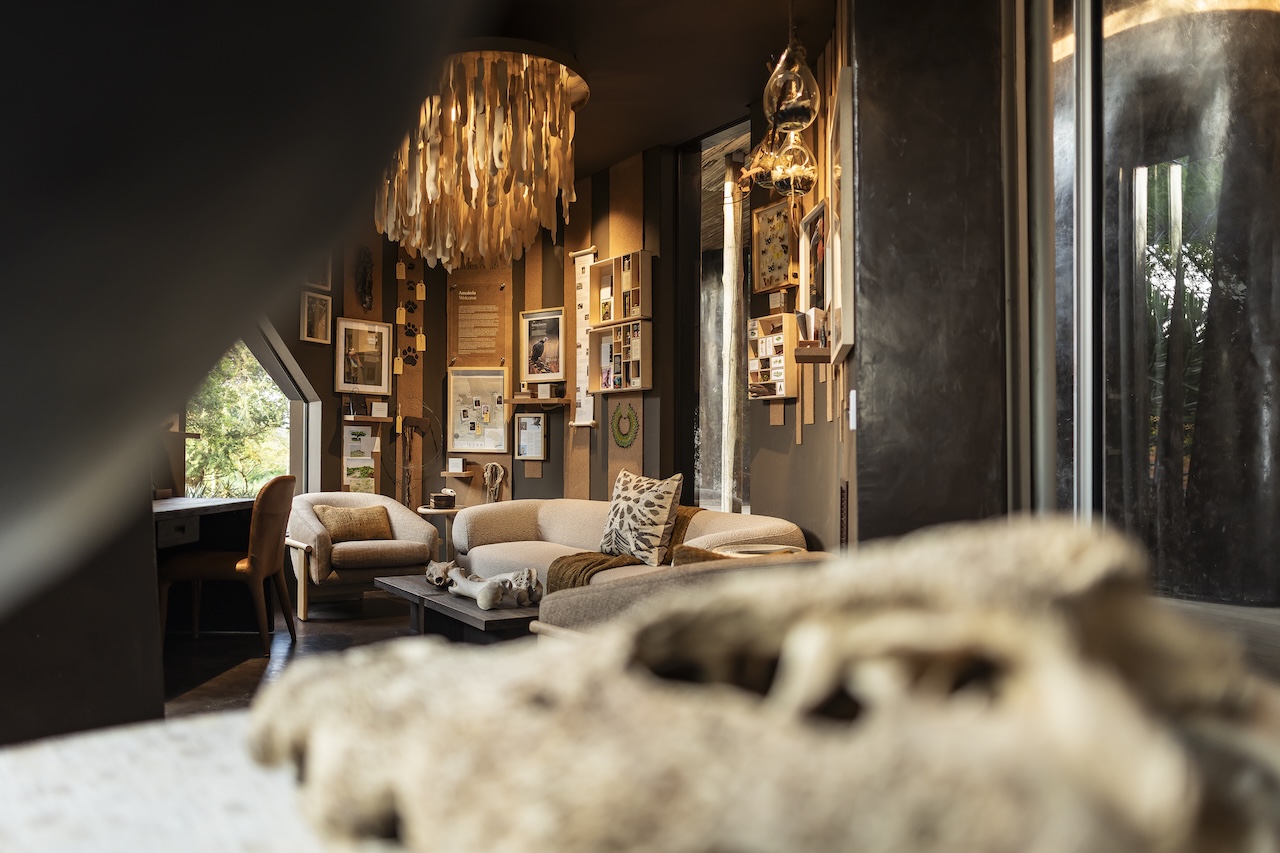 Singita